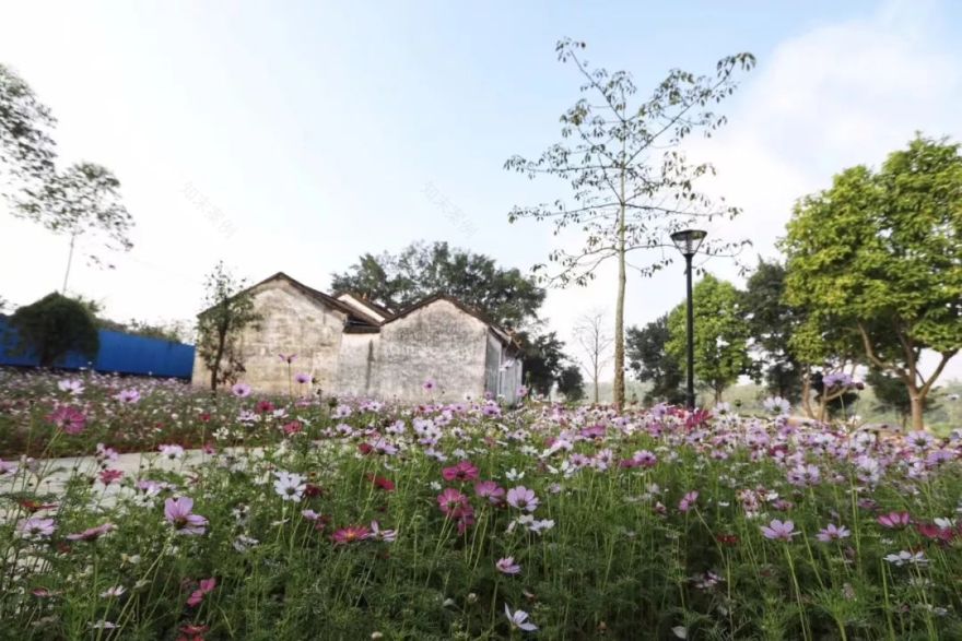 800年古村落美得不像话,他们都说想去度假-139