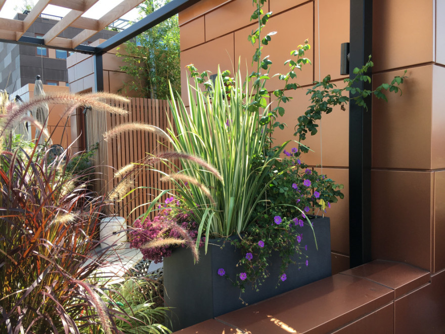 Cobble Hill Rooftop & Pergola-24