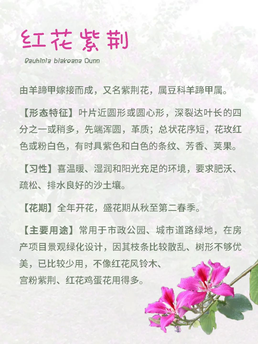 花城广州,四季繁花似锦的生态城市设计丨中国广州丨茏腾园林-32