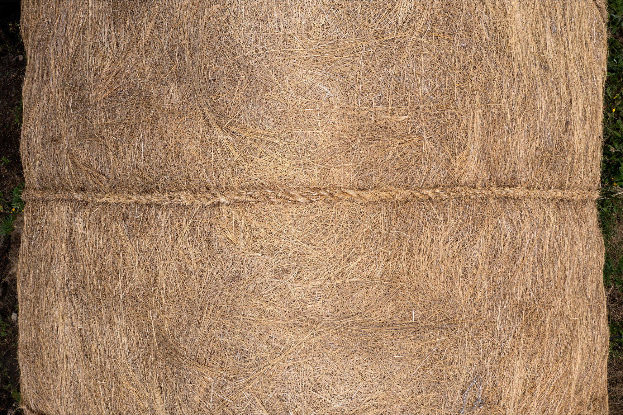 丨Ecuador丨Cubbil studio-34