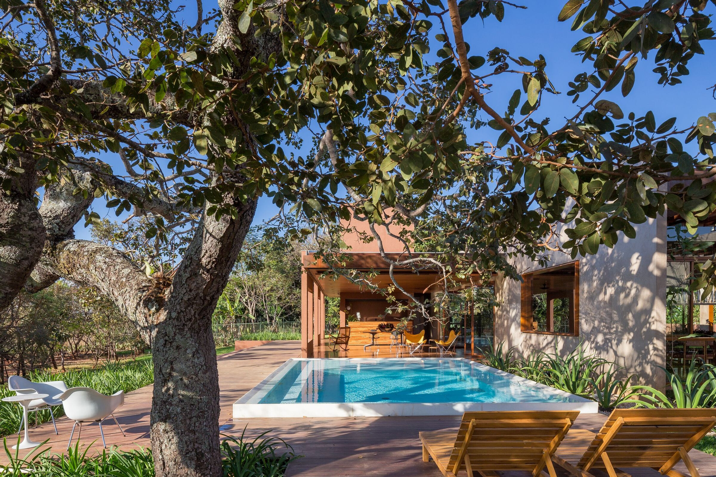 巴西 House 28 绿色住宅-19