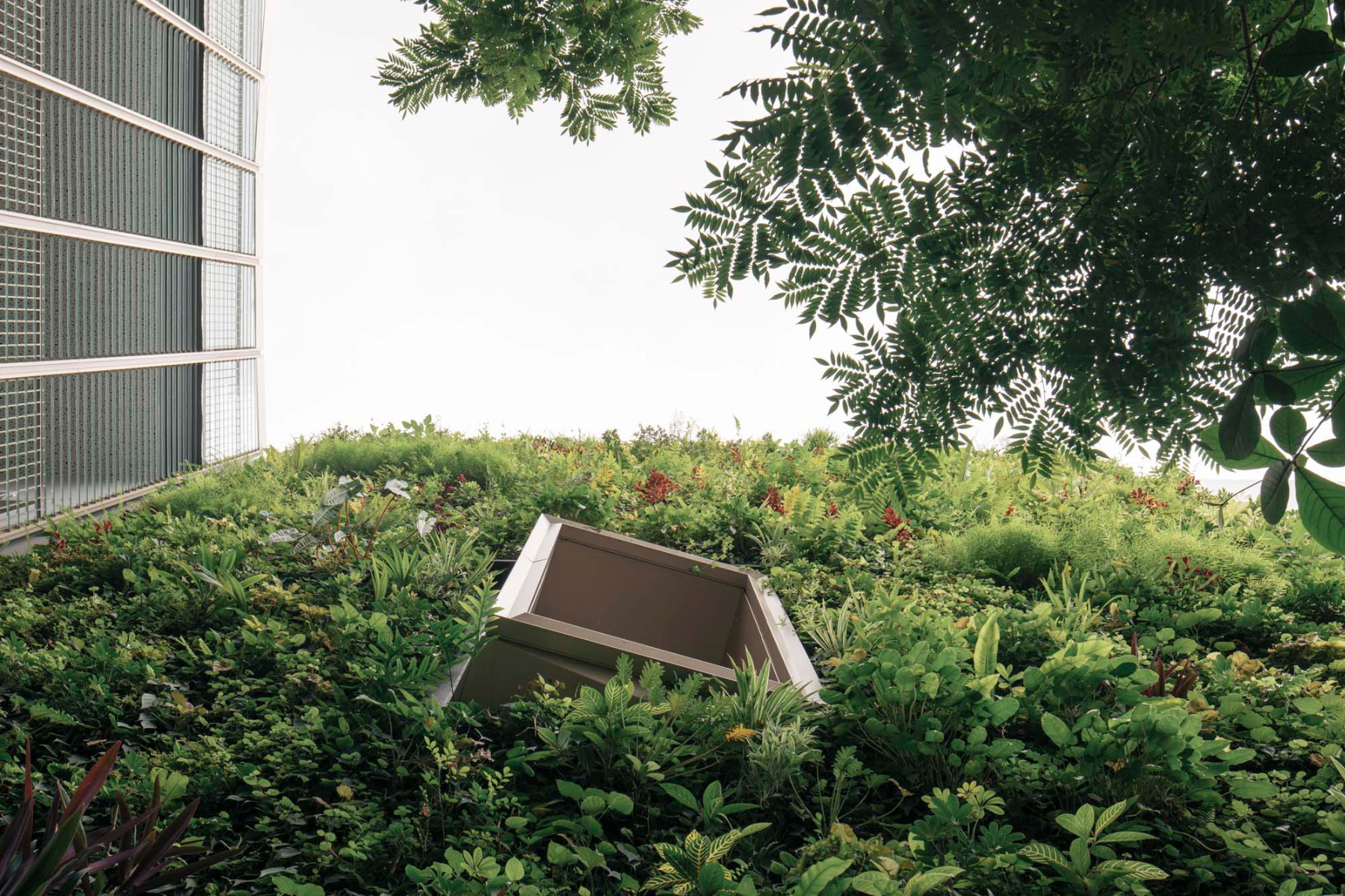 新加坡建筑学院翻新项目丨新加坡国立大学设计与环境学院,CPG Consultants-48