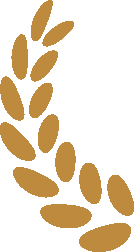 【雾屿山行】肆面设计斩获美国缪斯设计大奖铂金奖！-11