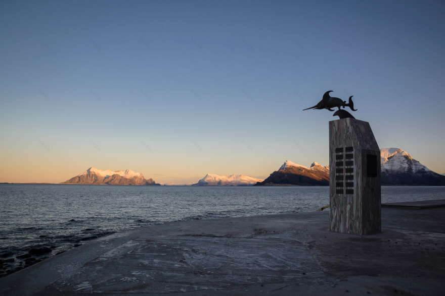 HZA adds wave-shaped toilet facility to scenic Norwegian lay-by-13