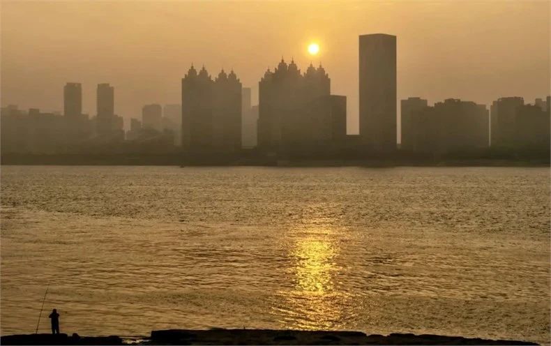 新作丨梁志天 x 观致设计 雅奢与创新-5