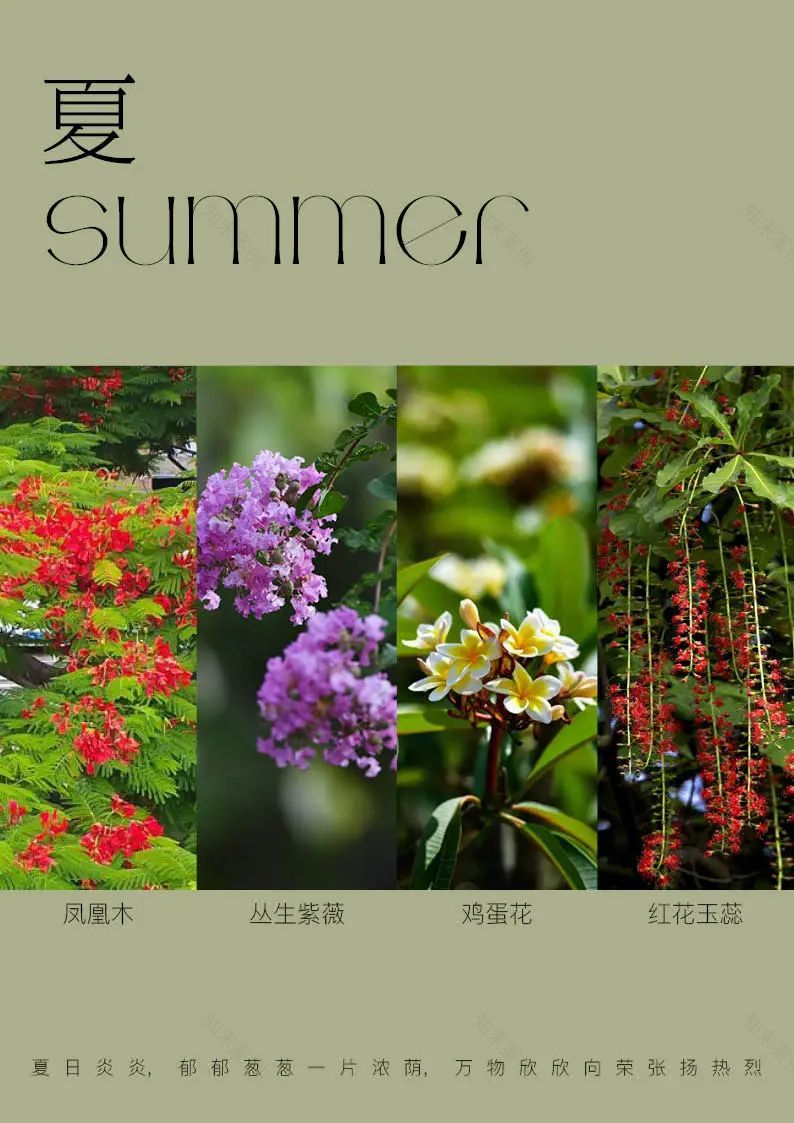 林间绿岛,人文雅居 | 深圳静安府-73