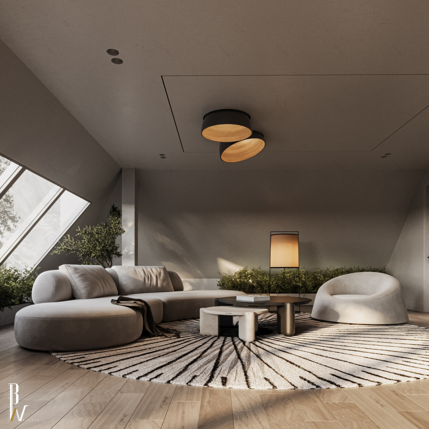 坡顶房屋居住区域丨英国曼彻斯特丨Black N White-14