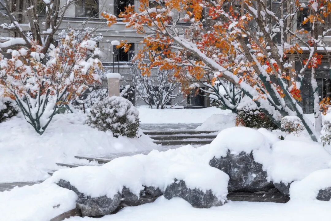 北京·中海·翠湖玖章丨中国北京丨麦田景观-2