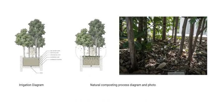 曼谷“森林之家” | 绿色住宅的可持续设计-55