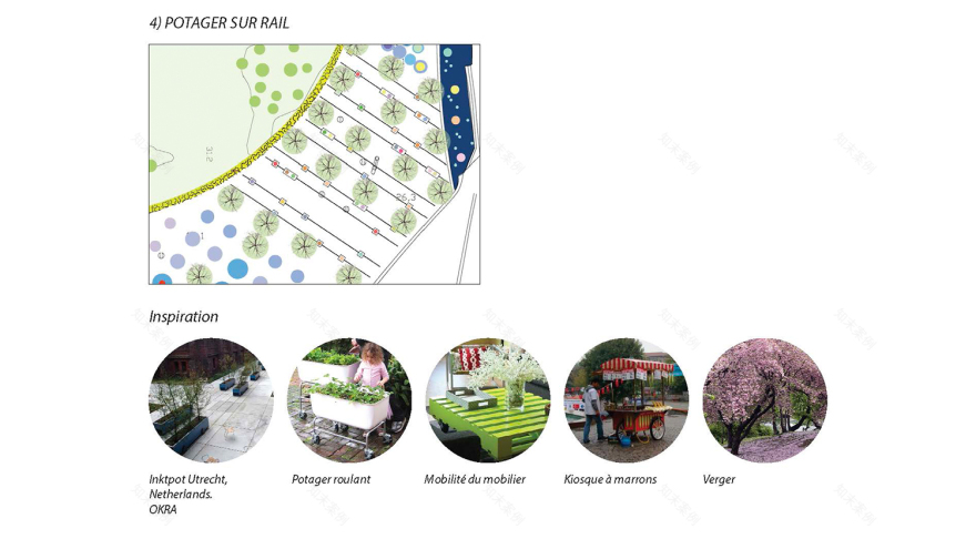 弗拉恩·城市菜园-13