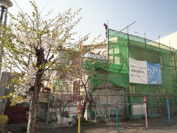 札幌市北区森山「公園が庭の家」リノベーション-7