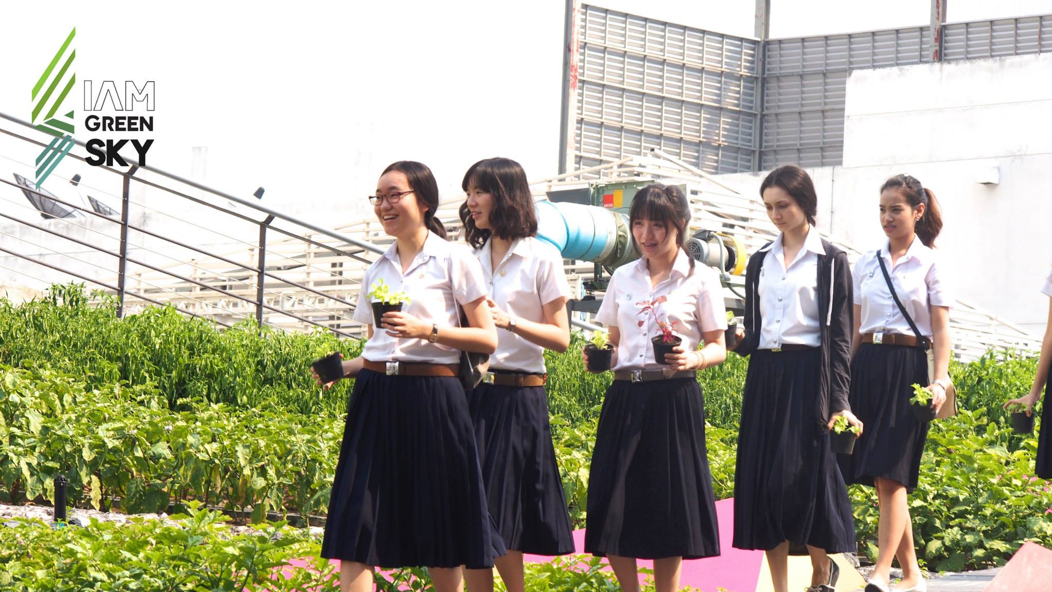 暹罗绿色天空-22