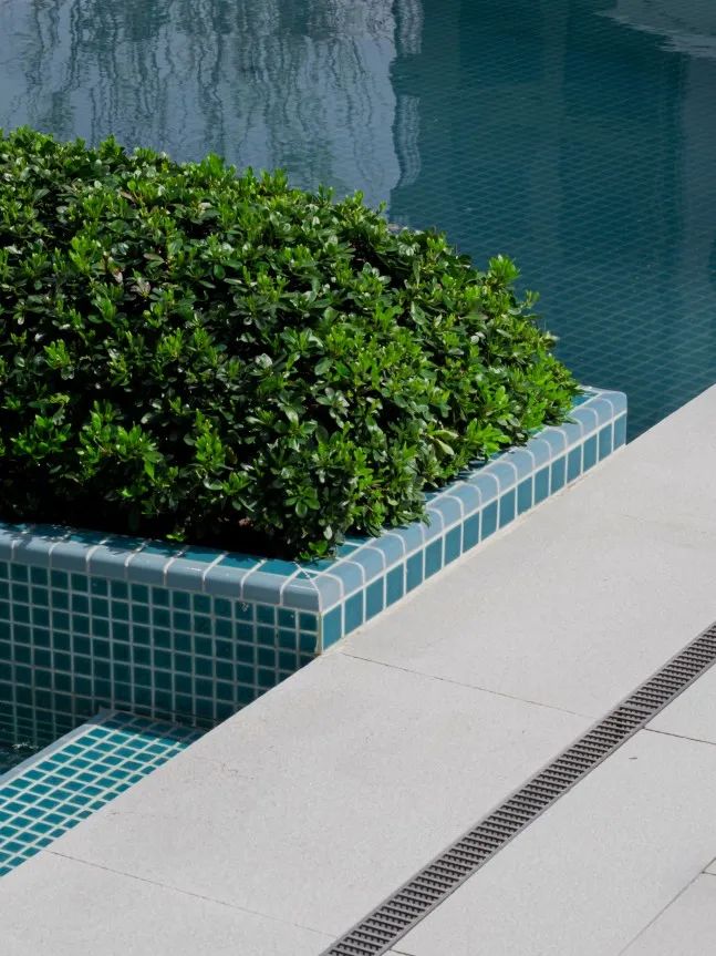 义乌壹号院丨中国金华丨澳洲艺普得(IPD),杭州普天-90