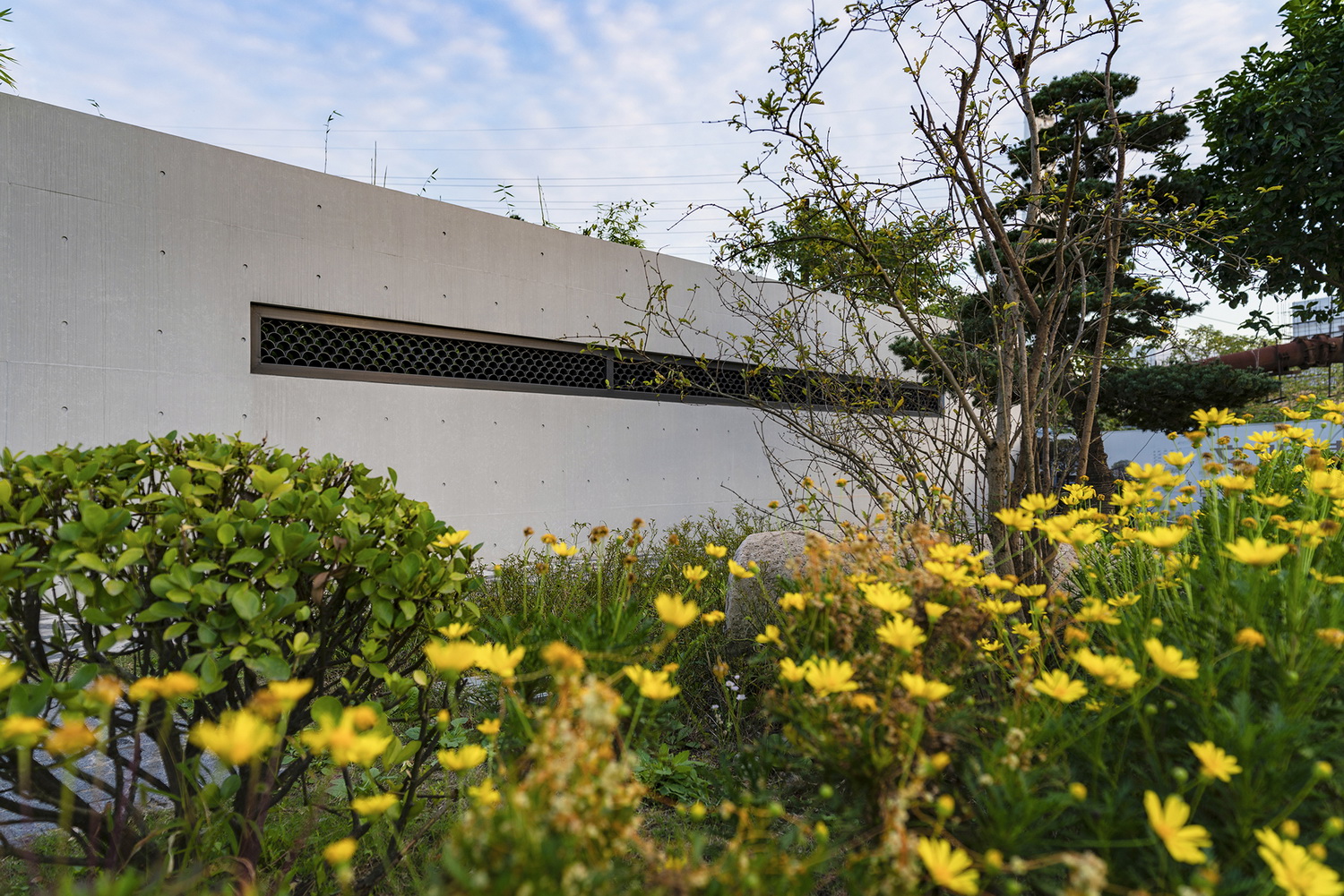 上海浦东金桥镇永建路小公园丨中国浦东新区丨上海善祥建筑设计有限公司-54