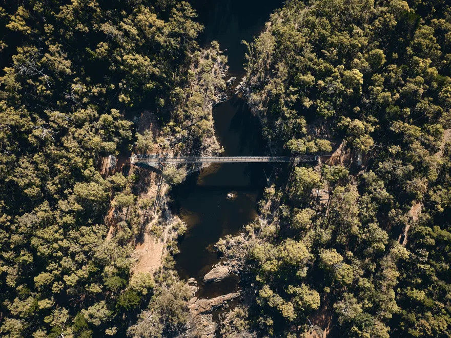 Dwaarlindjirraap 悬索桥丨澳大利亚-6