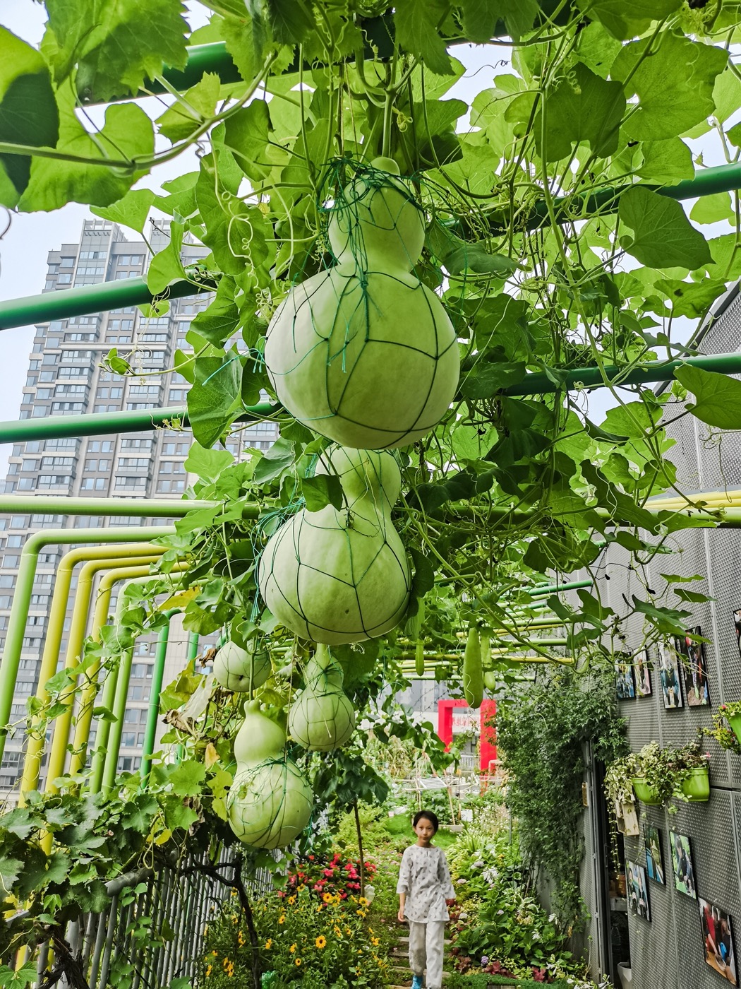 南京志远外语学校天空之园丨中国南京丨南京林业大学风景园林学院团队-35