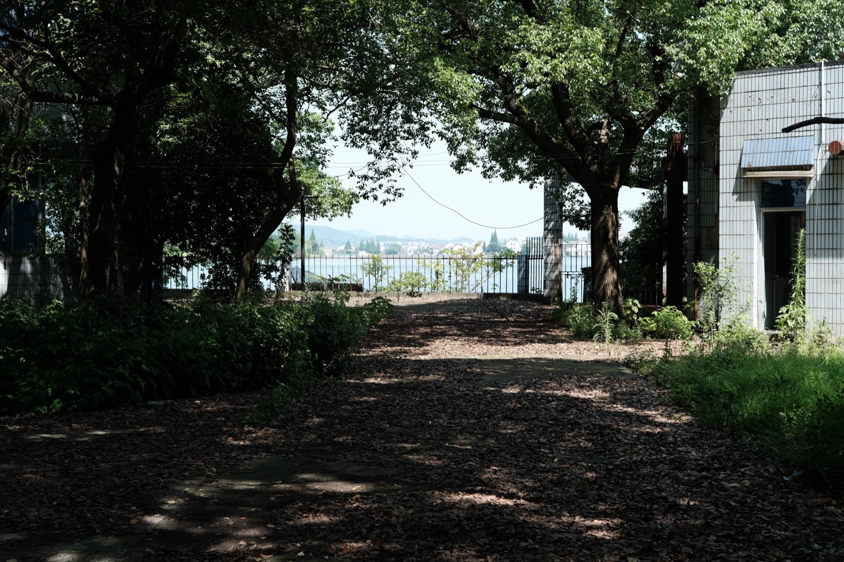 先锋鉴湖书店(鉴湖取水岛市政设施更新项目)丨中国绍兴丨大舍建筑设计事务所等-82