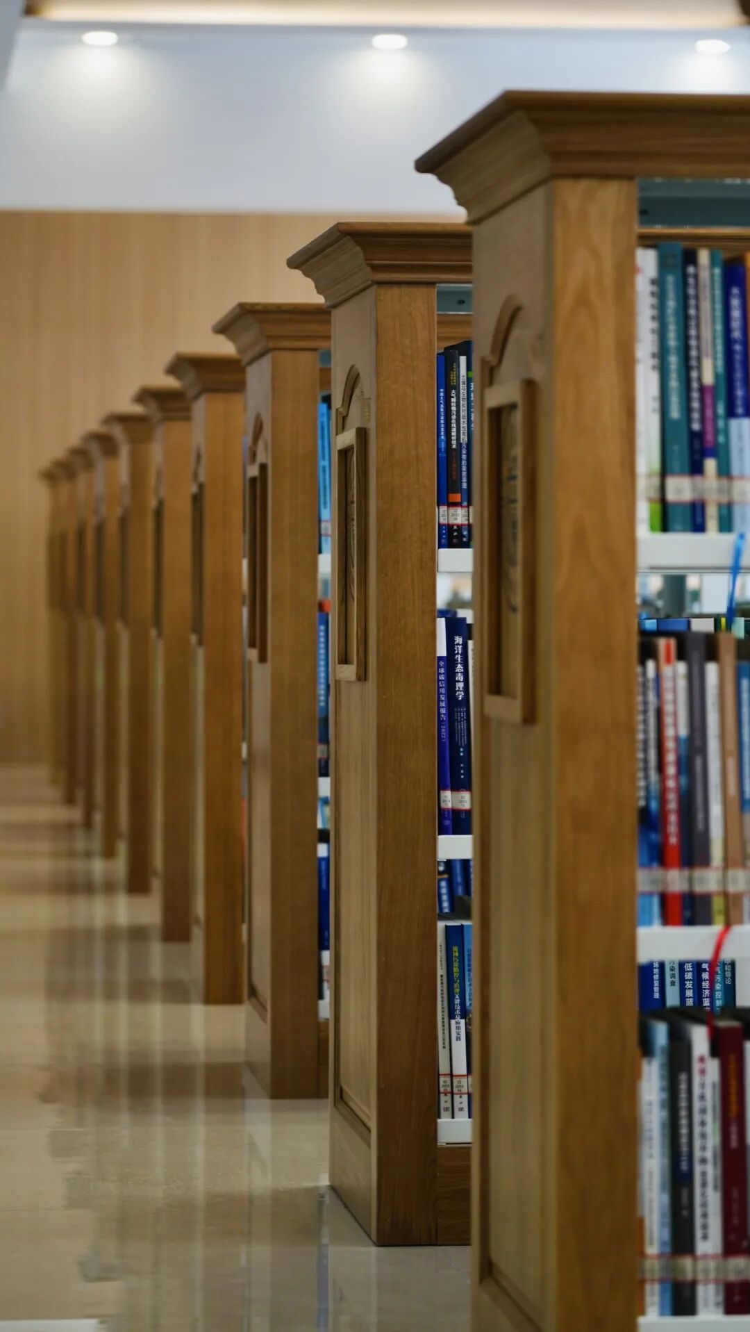 全面升级！重大图书馆上新，速来get！-51