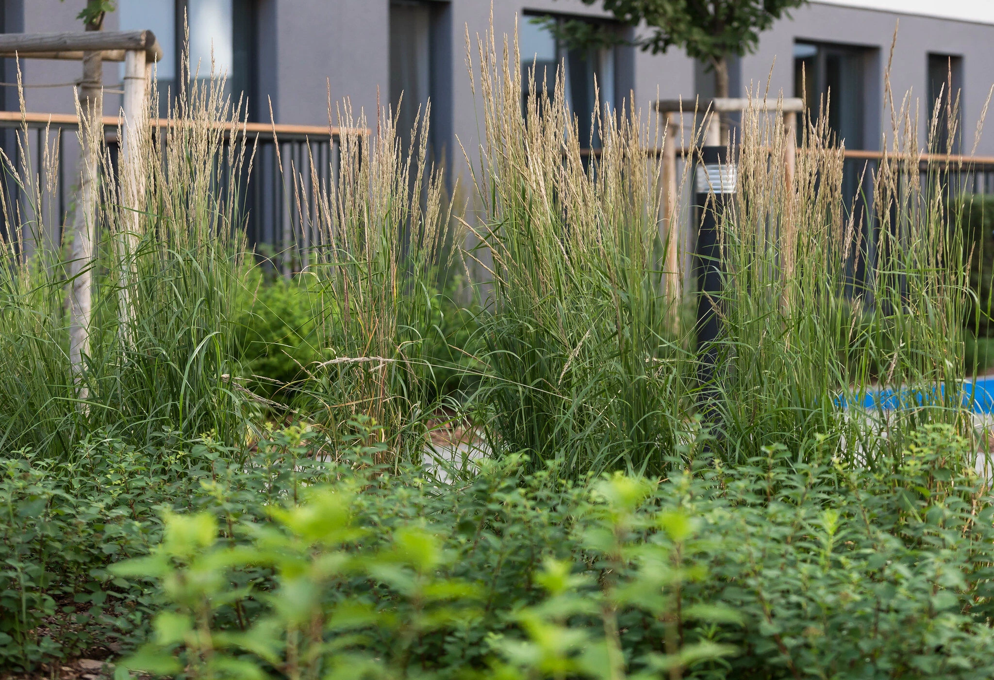 Sukhodolsky 公共公园和庭院丨俄罗斯丨LEVS architecten-50