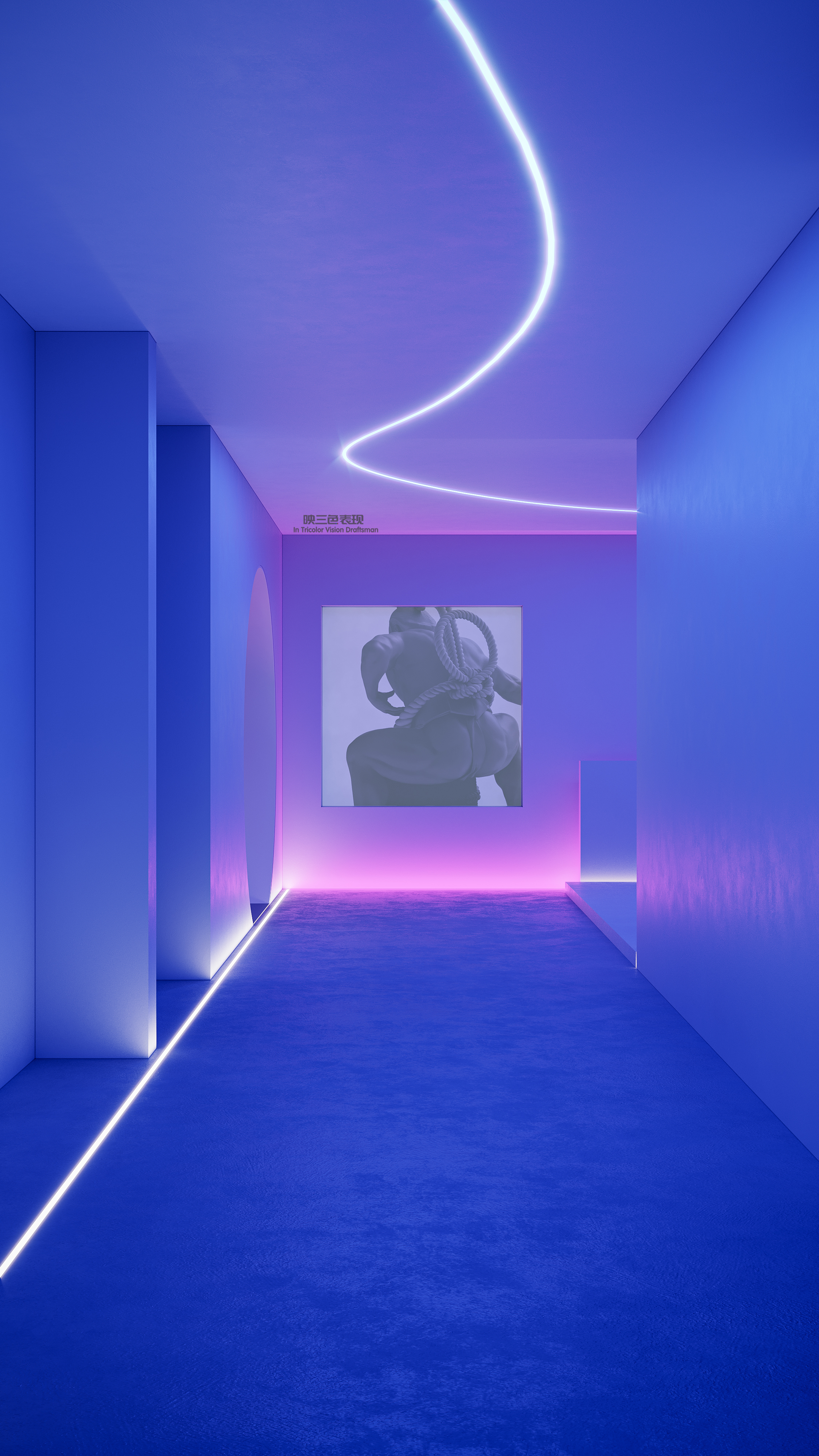 三色的或三色旗的-5