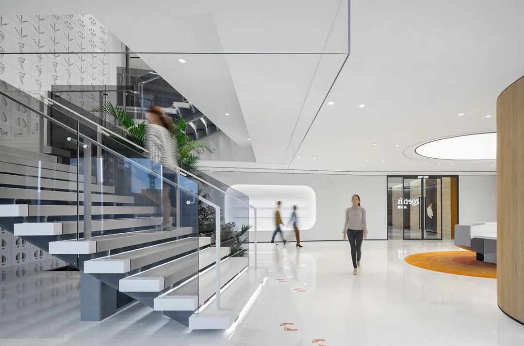 上海硕腾总部办公空间设计丨中国上海丨iDA Workplace-12