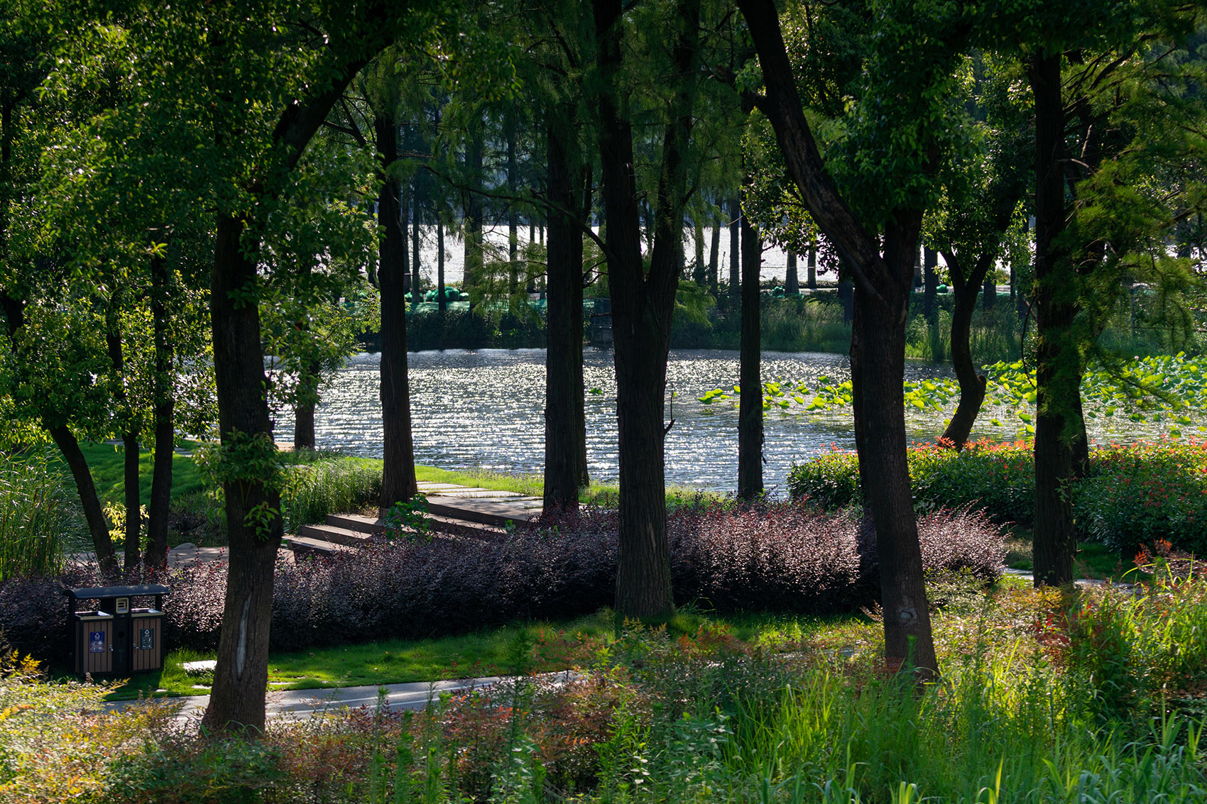 武汉华侨城D3地块南侧湿地公园-24
