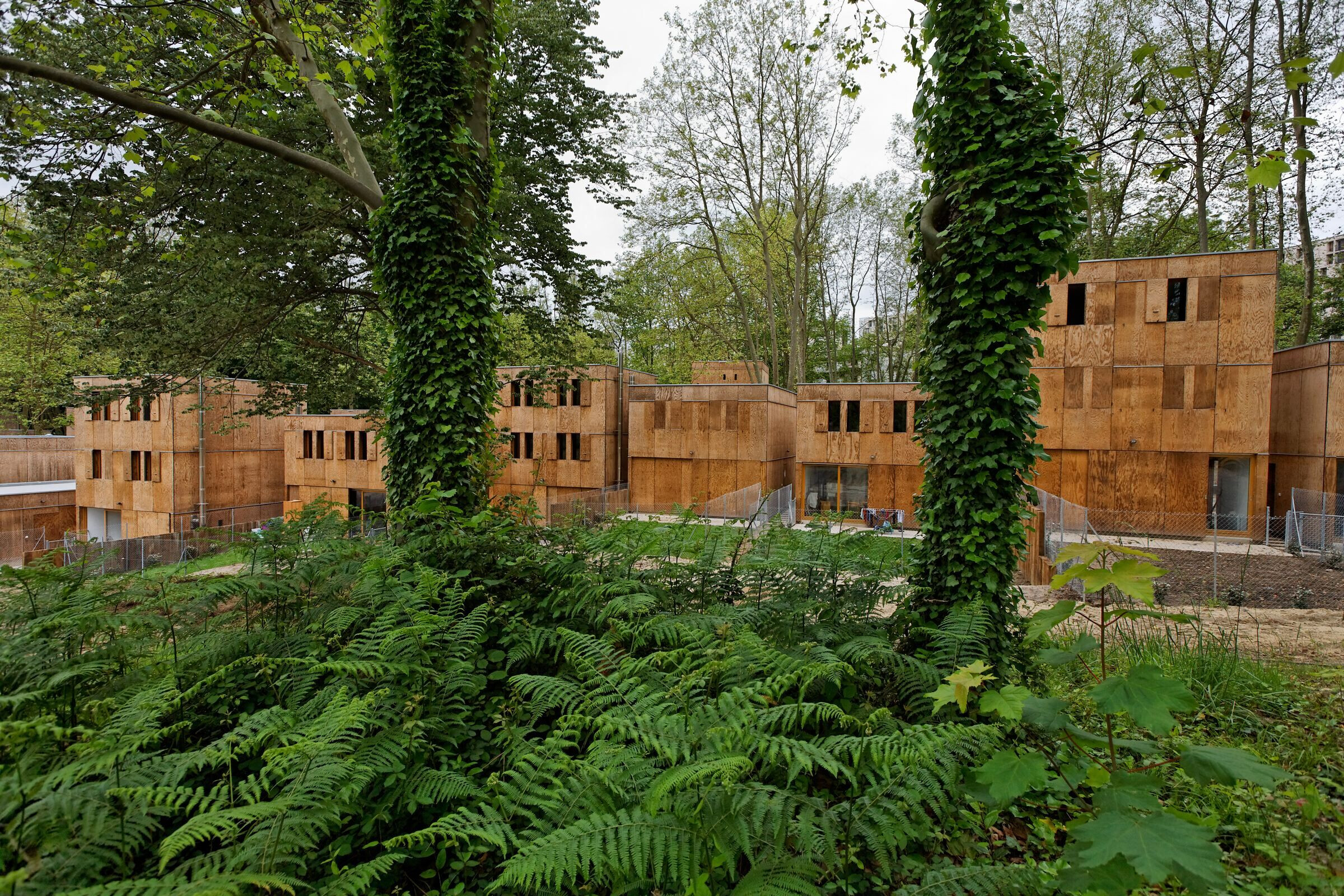 法国波尔多 39 栋木质住宅丨Agence Bernard Bühler-18