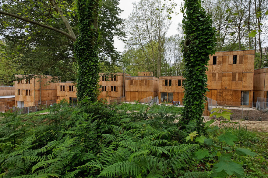 法国波尔多 39 栋木质住宅丨Agence Bernard Bühler-18