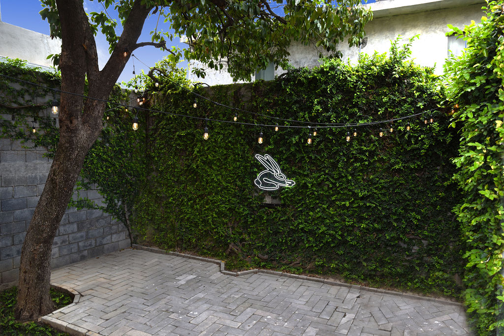 Casa Liebre 有机美食展示厅丨Anta Estudio-7