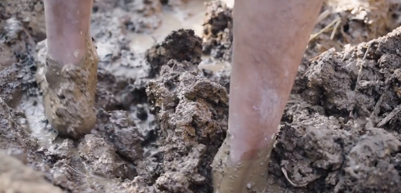 竹亭丨IndiaImphal丨WBW-9