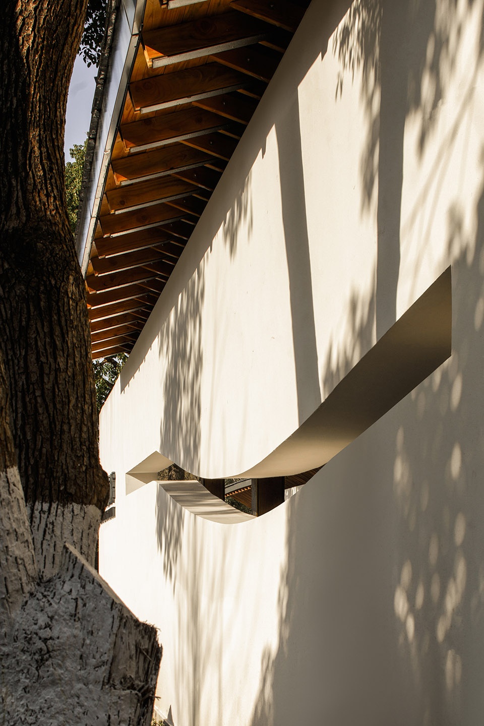 西溪蔡志忠美术馆丨中国杭州丨中国美术学院风景建筑设计研究总院+森上建筑-56