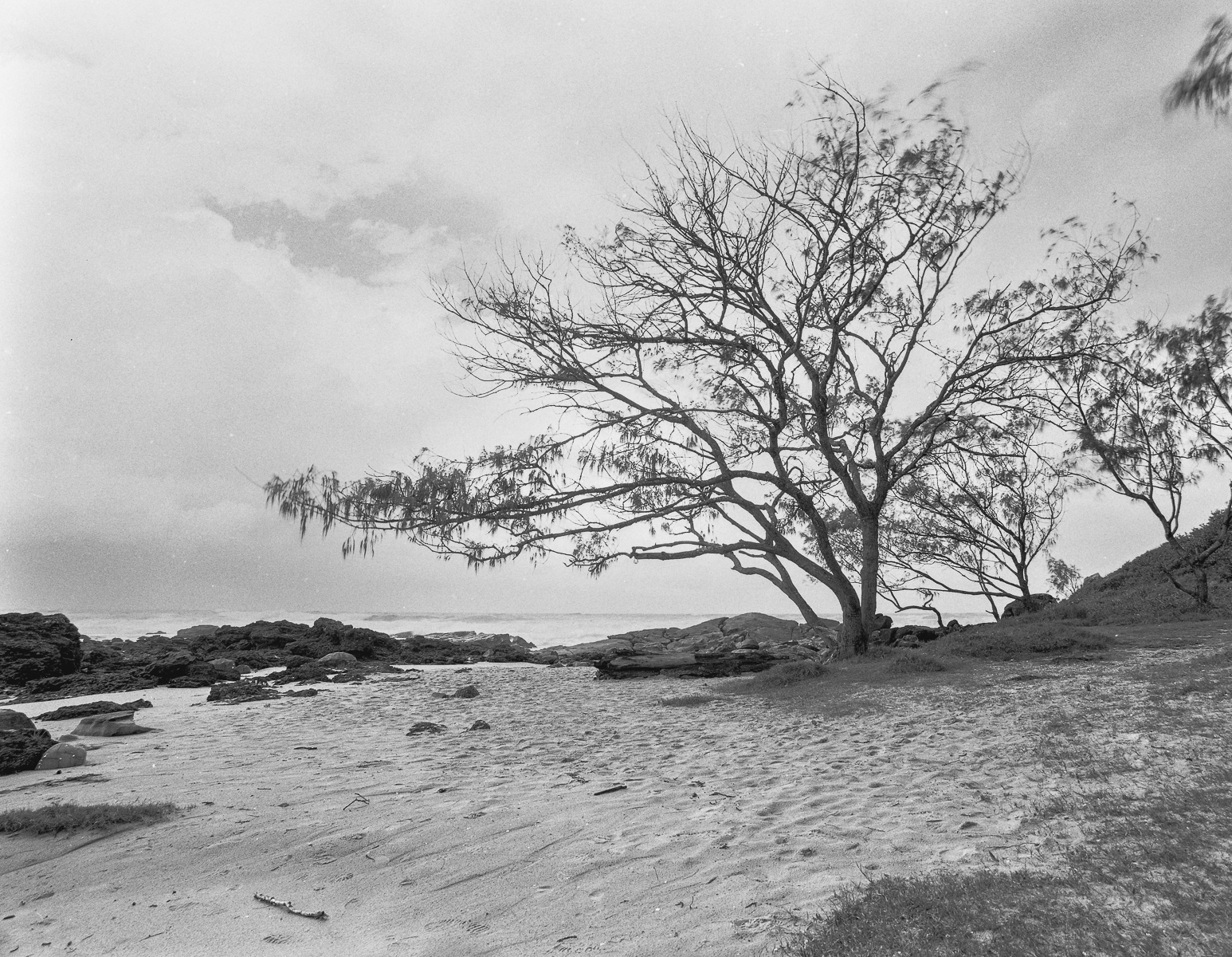 A Wet Weather Walk - Biripi Country - Fomapan 100-2
