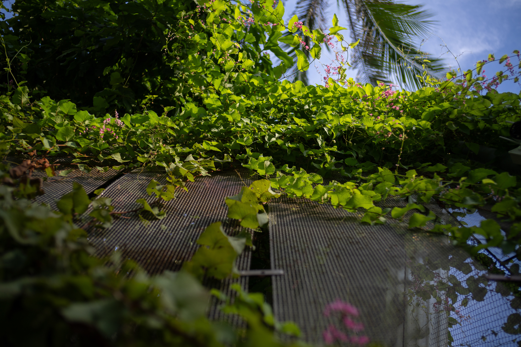 咖啡店丨越南丨xưởng xép-45