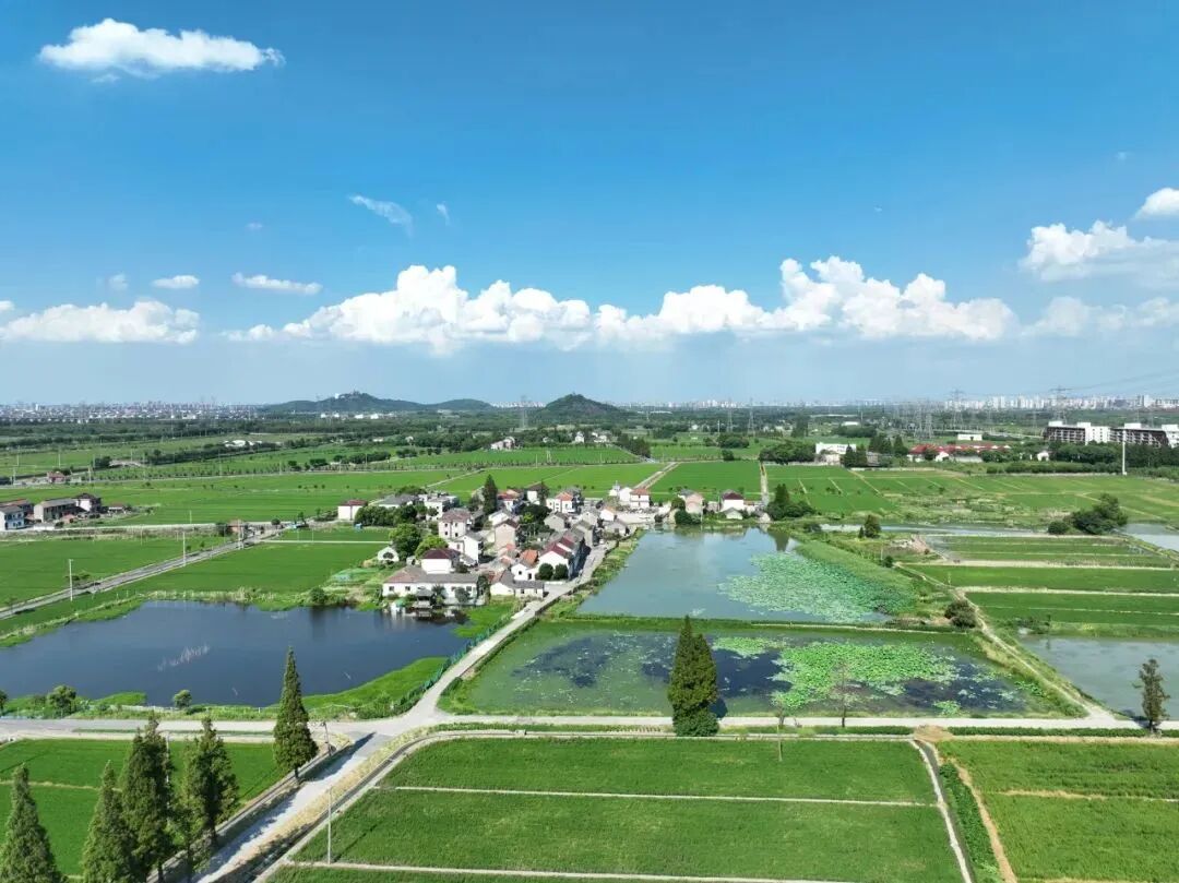 诗画天马——从古画中走出来的沪派江南-105