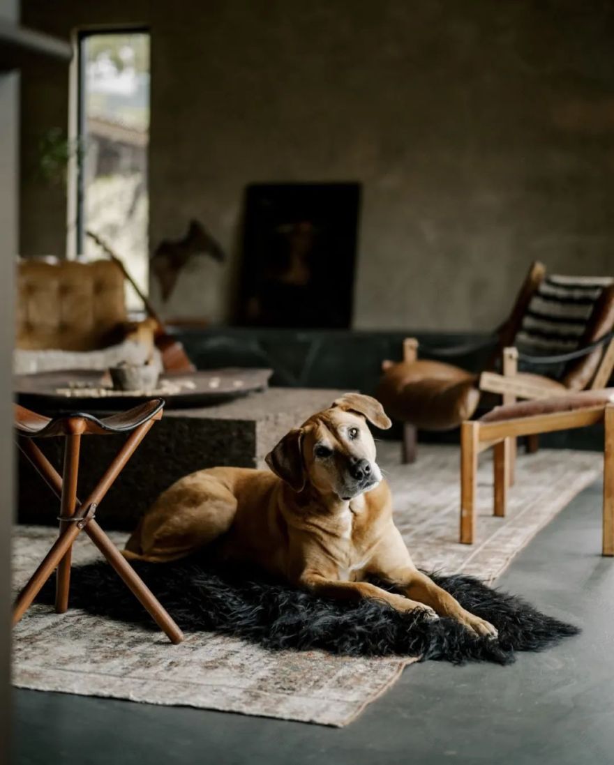 侘寂之墅(Egg House)丨美国纽约丨艺术家夫妇Chad Hagerman和Allison Ochmanek-18