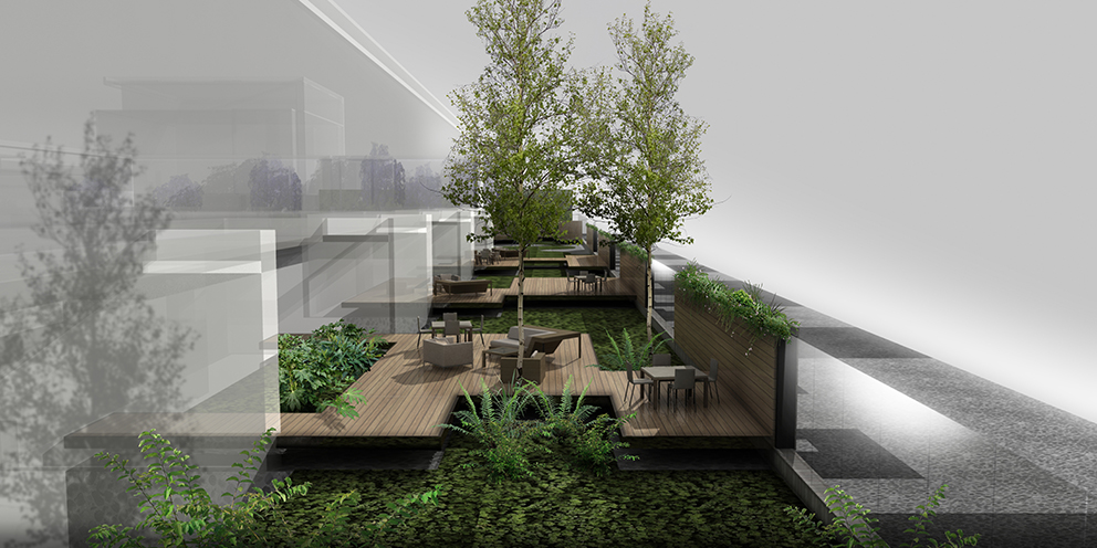 Coyoacán公司校园-19