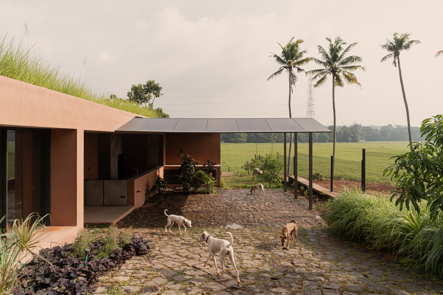 印度 Alarine 地球家园丨Zarine Jamshedji 建筑师事务所-11