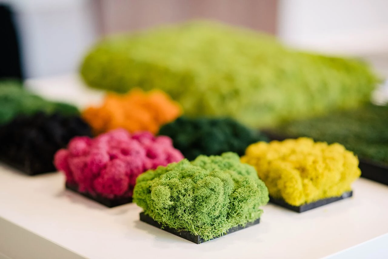 一屋三用 · 萨拉热窝的 Atelier 01 室内设计-20