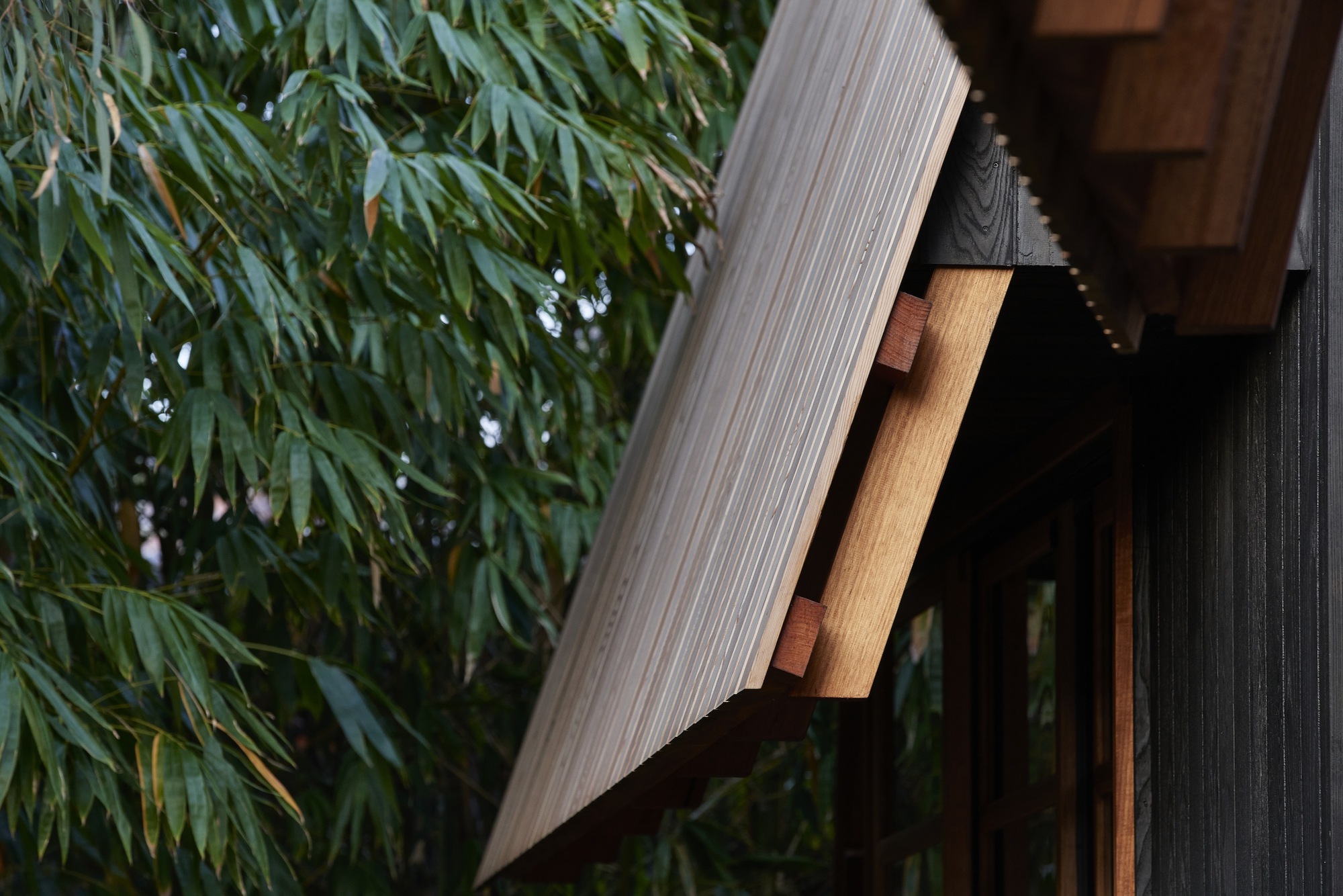 余烬之家丨澳大利亚丨MRTN Architects-36