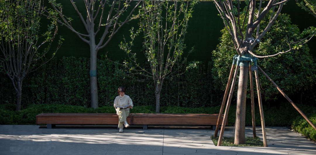 青岛中海学仕里丨中国青岛丨深圳市派澜景观规划设计有限公司-79