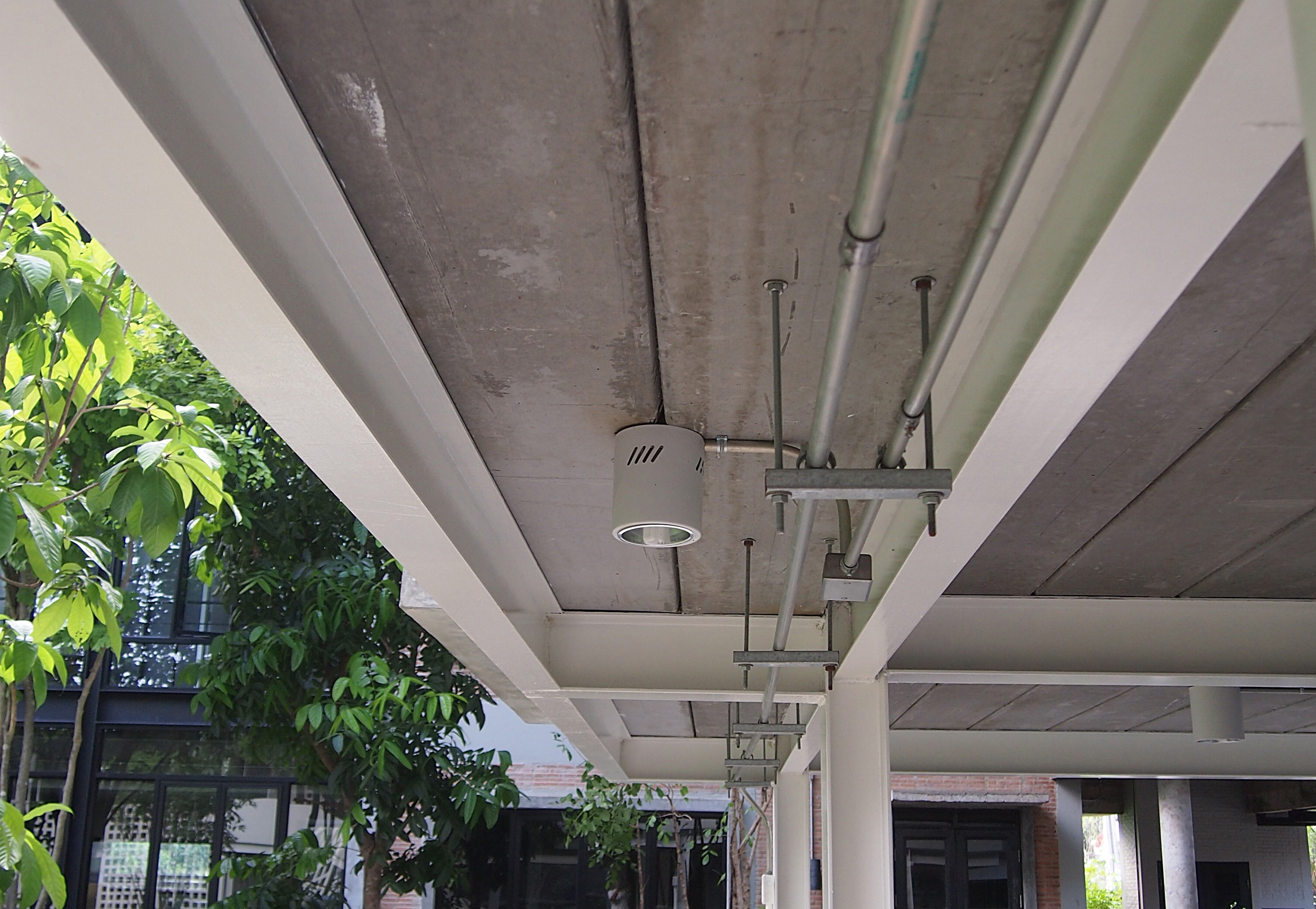 丨อาจารย์ต้นข้าว ปาณินท์（教师稻谷·潘尼）-53