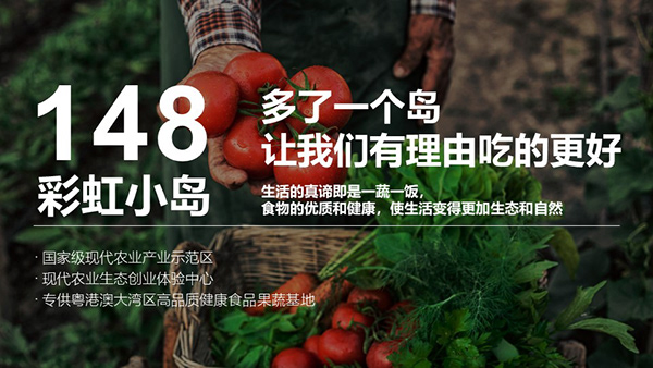 现代农业基地-品牌/策划2019-9