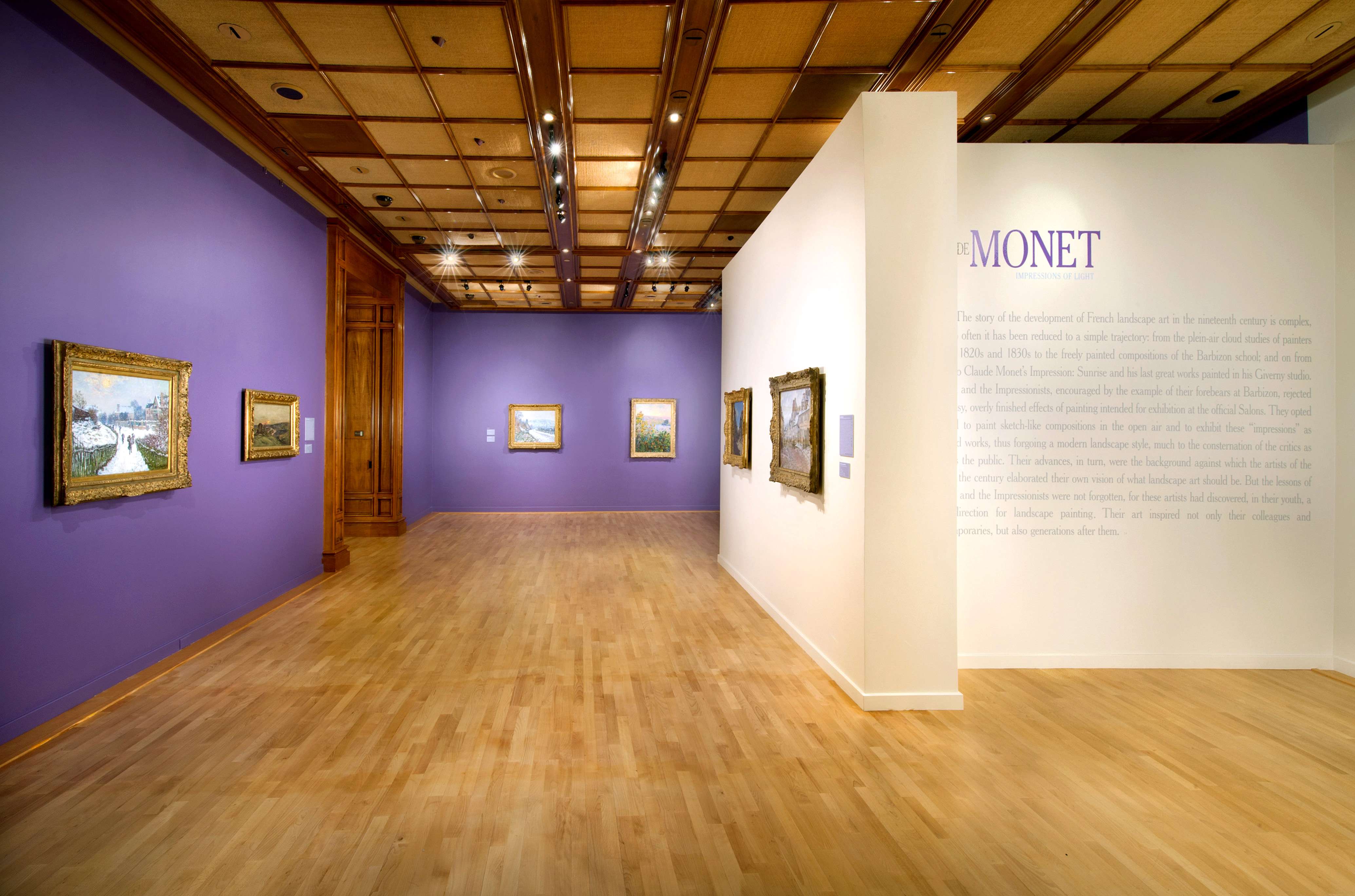 Bellagio Towers（拉斯维加斯）-10