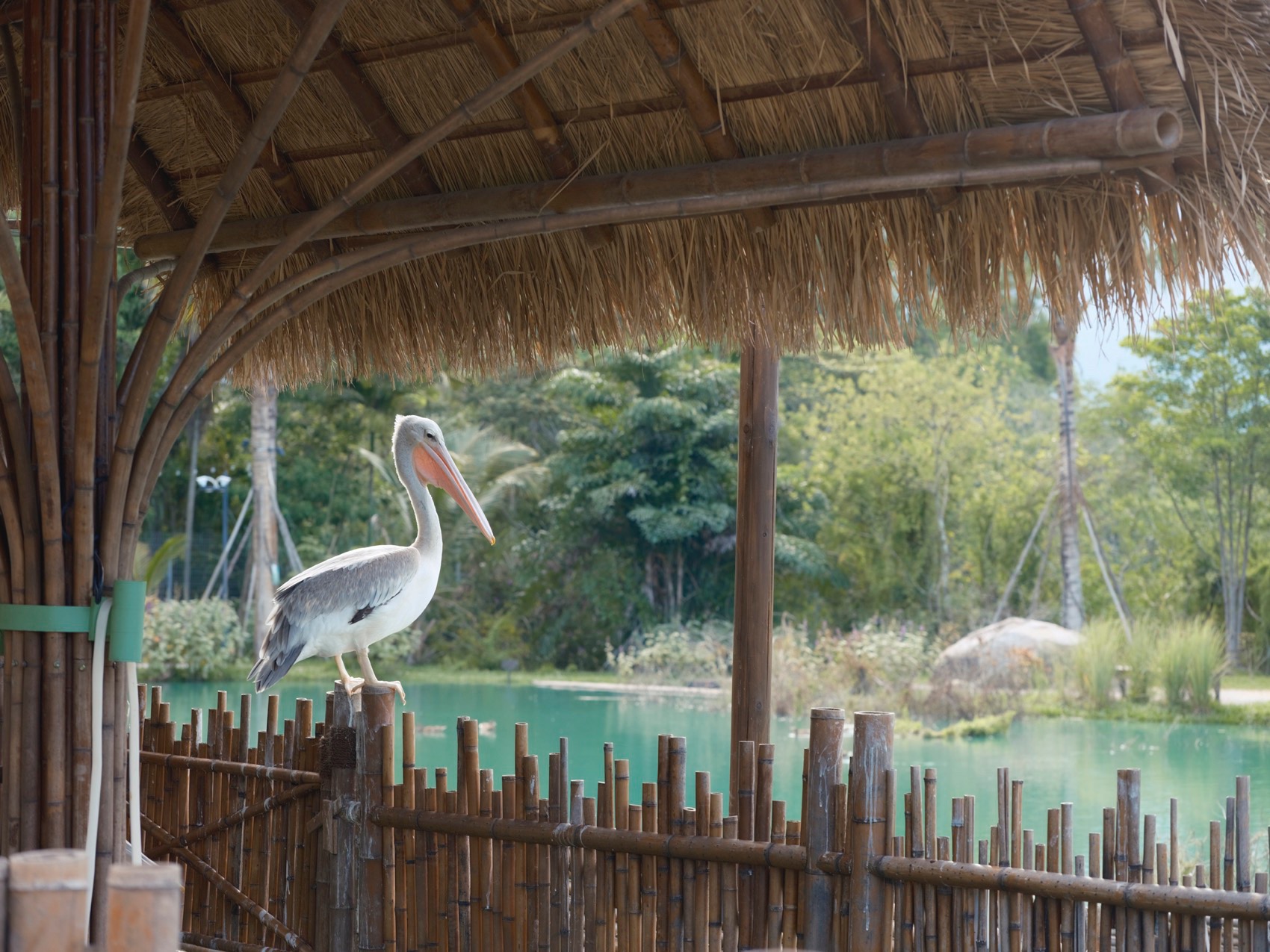 麓湾水集丨中国万宁丨昱道景观-63