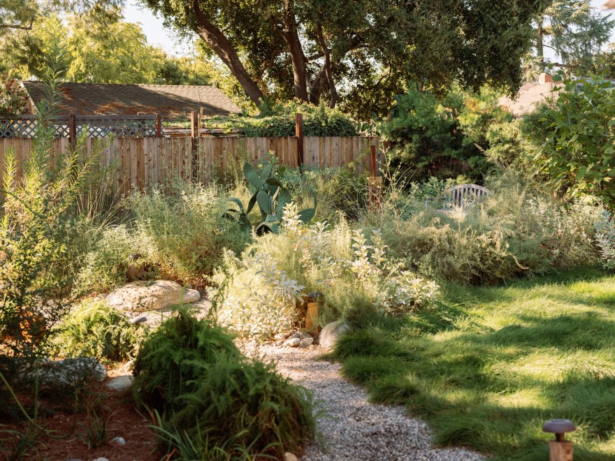 门前野趣丨TERREMOTO-15