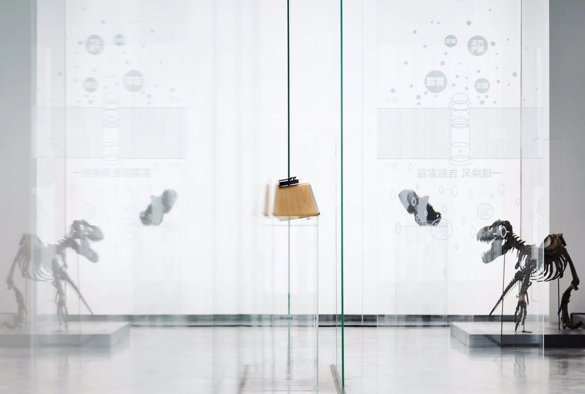 广州共生形态设计 | 博物馆-12