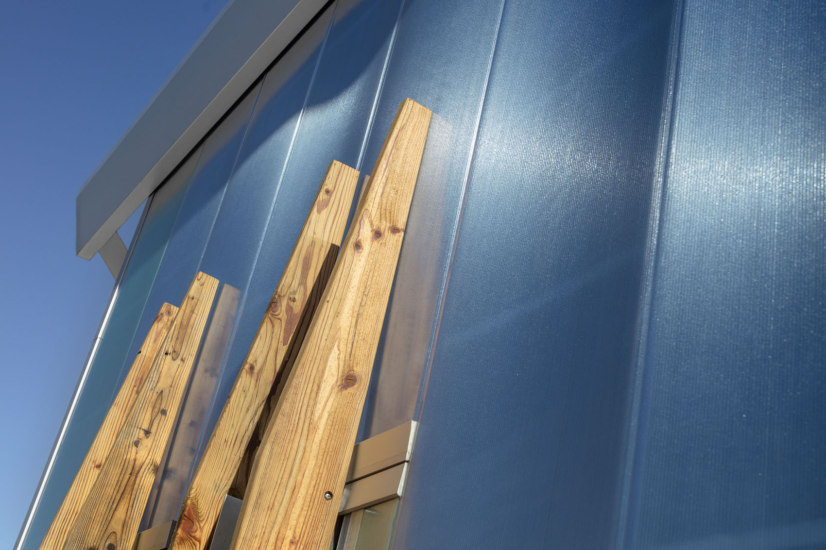 沙漠植物园一期丨美国-63