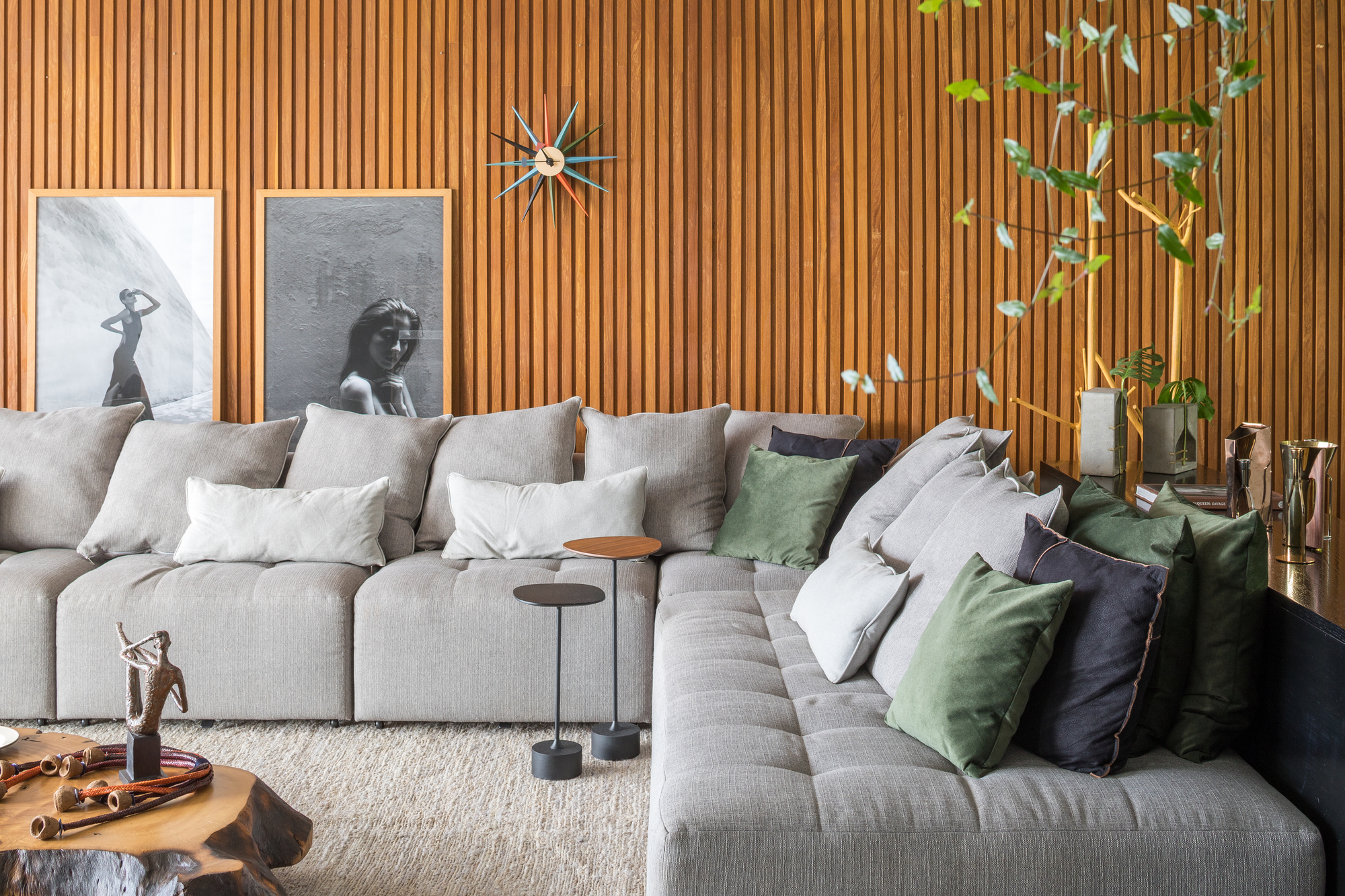 巴西利亚别墅设计-23