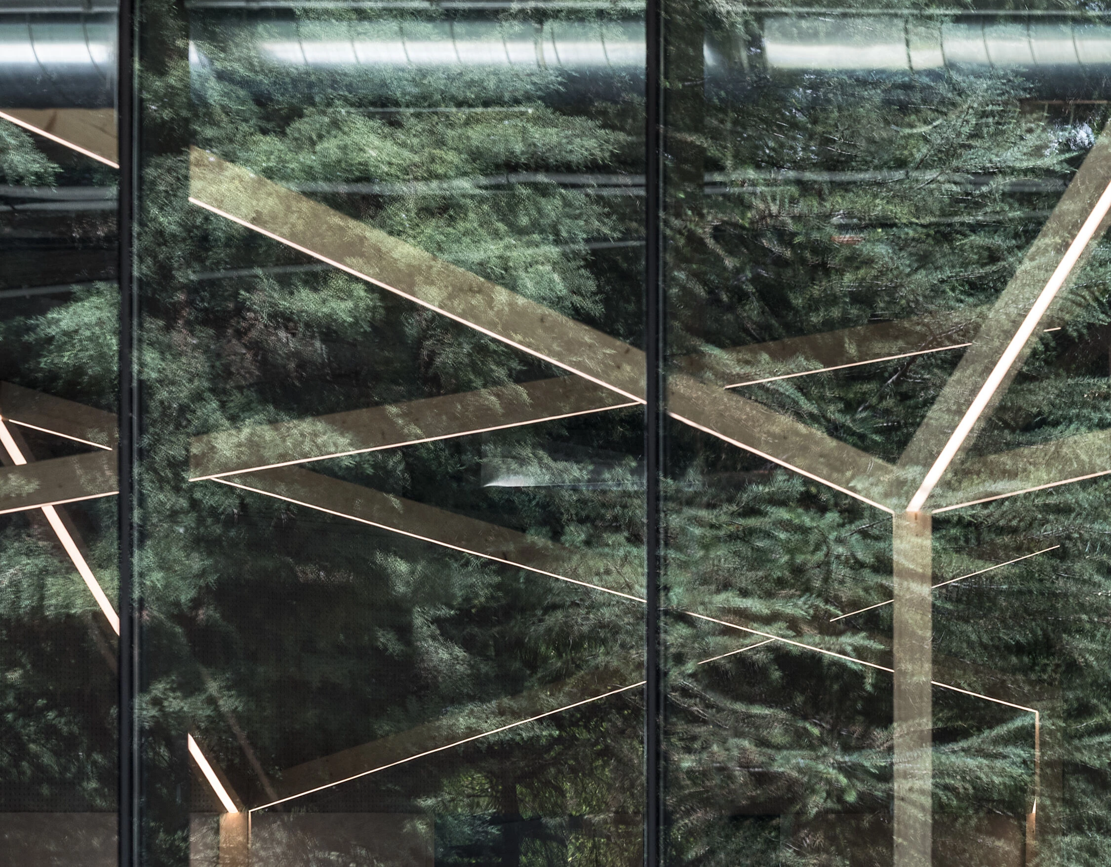 萨特林克办事处丨西班牙马德里丨taller básico de arquitectura-31