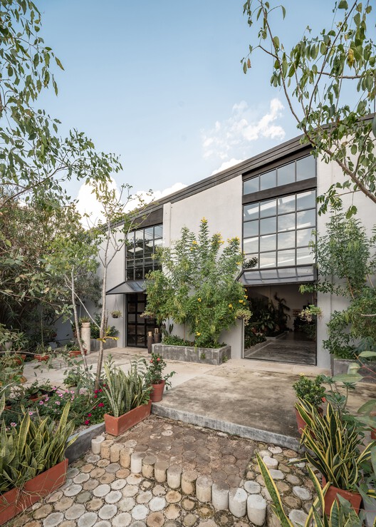 The Cellar House 工业仓库改造住宅丨墨西哥丨Taller Verde Arquitectura-9